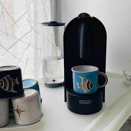 Shelley's Apartament *