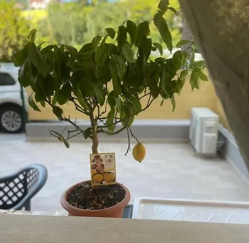 Shelley's Apartmán *